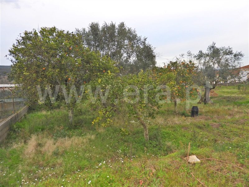 Terreno para Construção  Chamusca, Ulme - 1462997 - 8