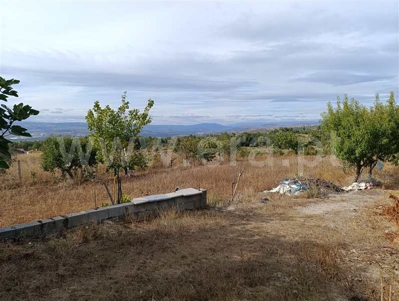 Terreno Rústico  Chaves, Águas Frias - 1431572 - 4