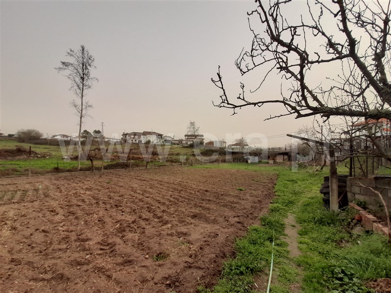 Terreno para Construção  Chaves, Casino - 1234972 - 4