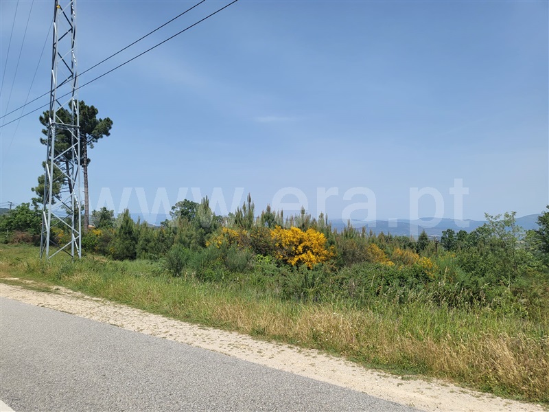 Terreno para Construção  Chaves, Ervededo - 1253870 - 3