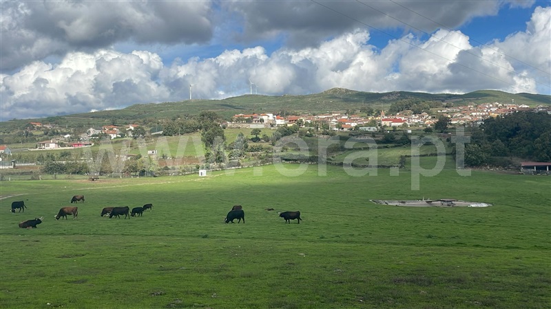 Terreno para Construção  Chaves, Mairos - 1439510 - 6