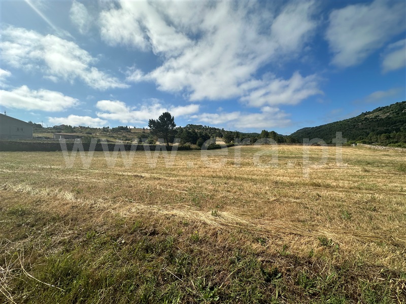 Terreno para Construção  com Aprovado Chaves, Oura - 1415448 - 4