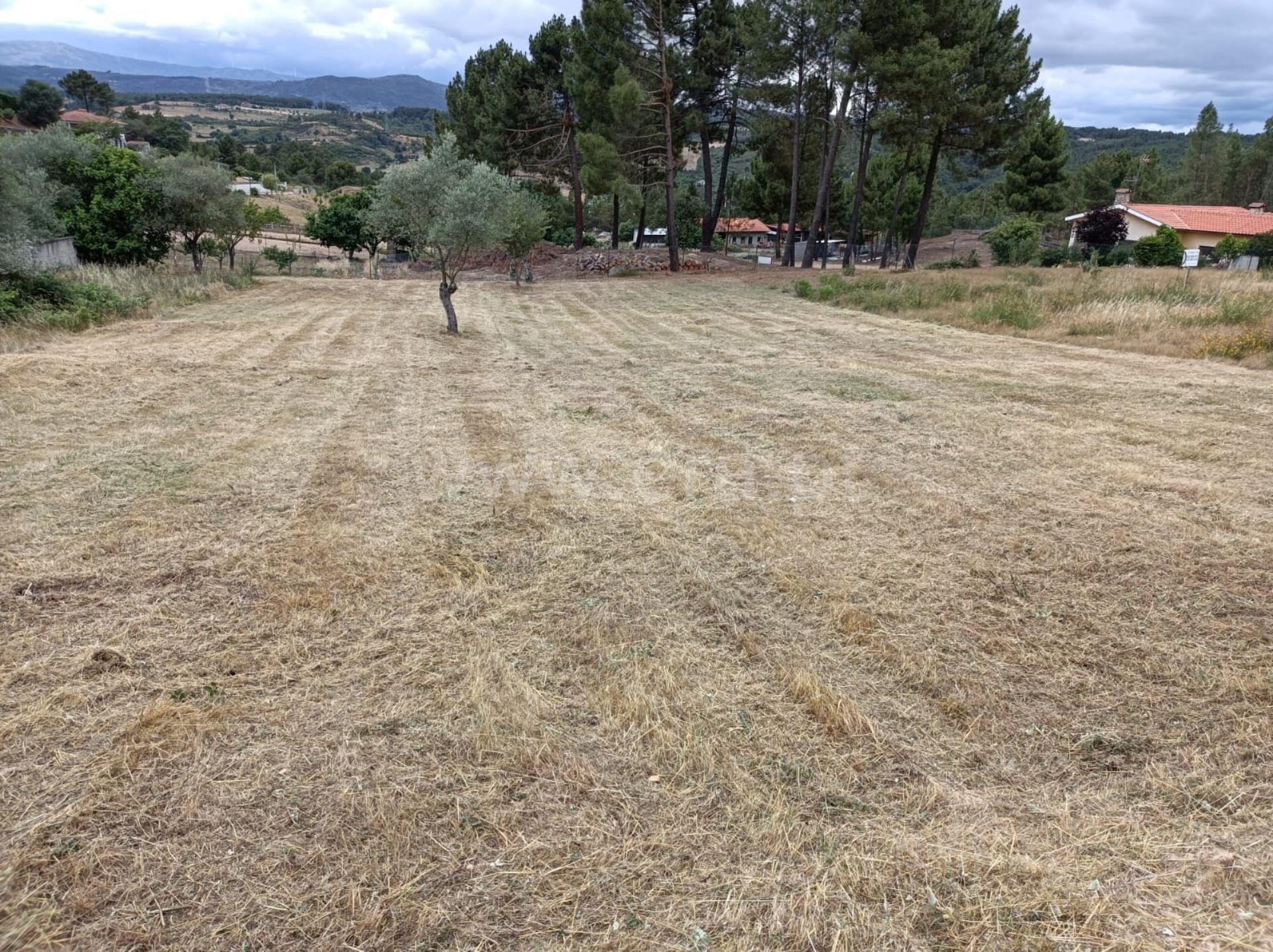 Land for sale in Chaves, Portugal — €65,000