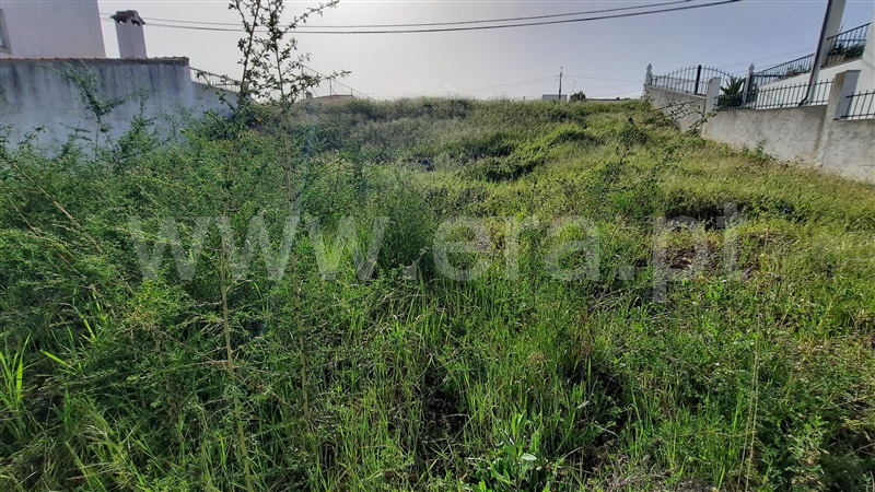 Terreno para Construção  Chaves, Santa Cruz Trindade - 1255475 - 1