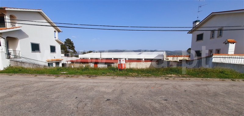 Terreno para Construção / Chaves, Santa Cruz Trindade