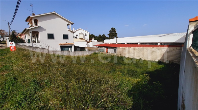 Terreno para Construção  Chaves, Santa Cruz Trindade - 1255475 - 5