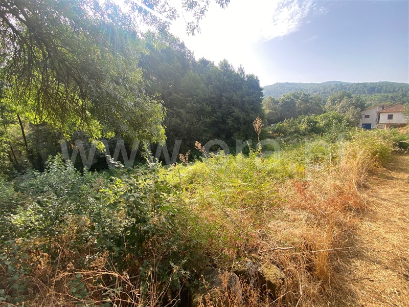 Terreno para Construção / Chaves, Madalena e Samaiões