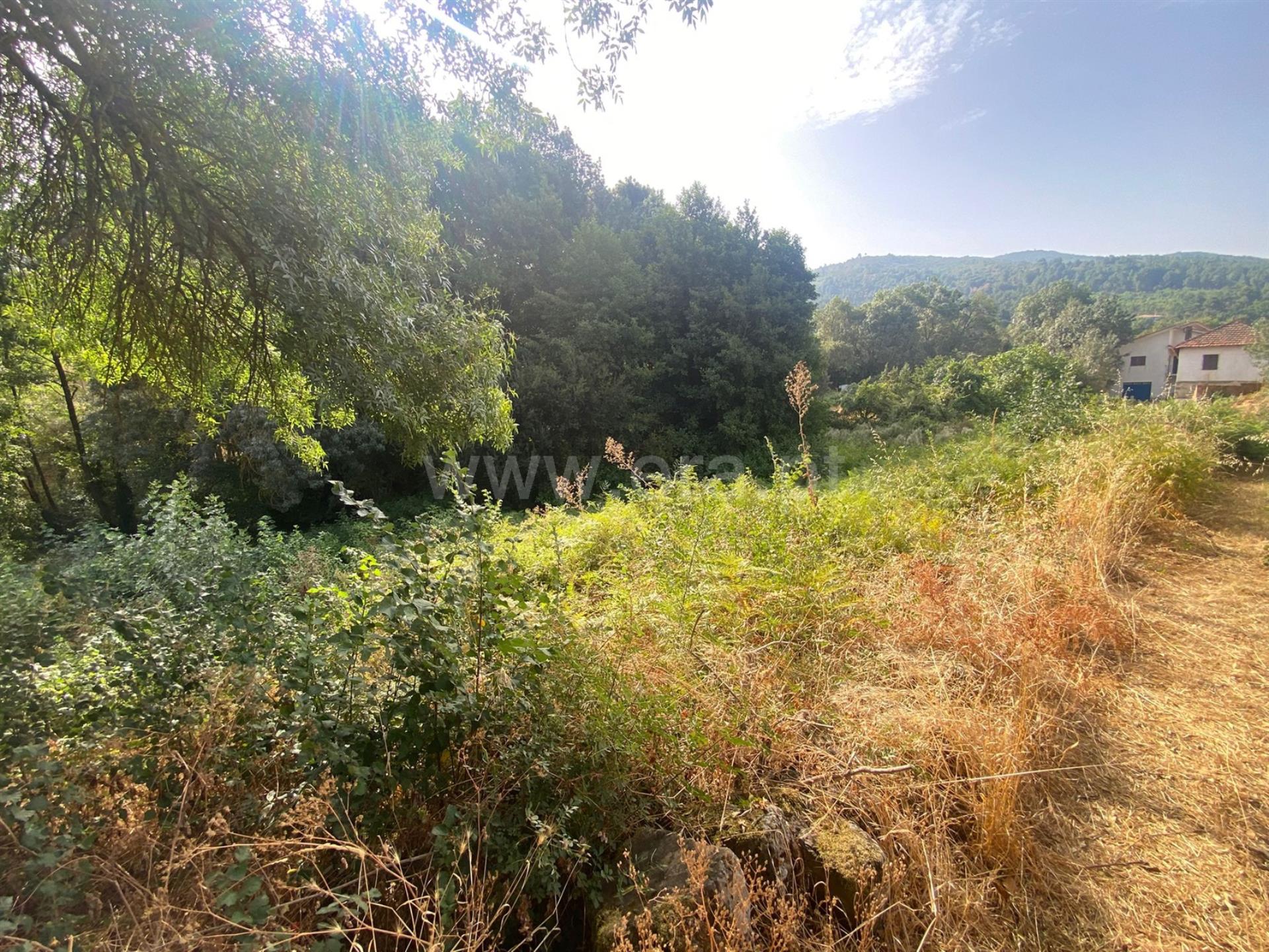 Terreno em Valpaços