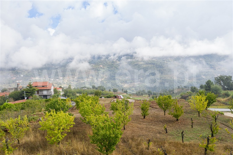 Terreno para Construção  Cinfães, Santiago de Piães - 1284863 - 3