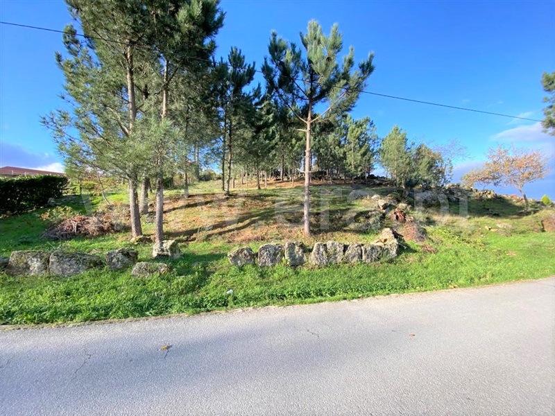 Terreno para Construção / Cinfães, São Cristóvão de Nogueira