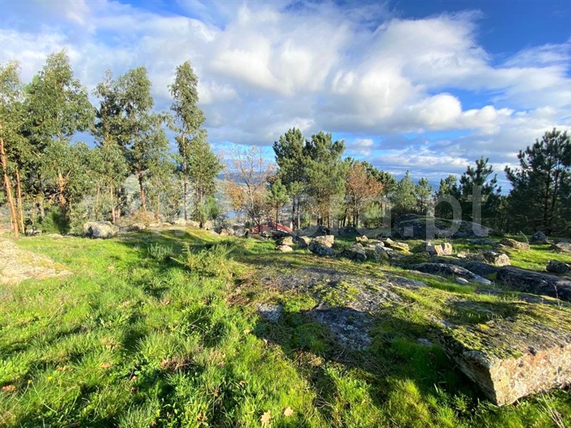 Terreno para Construção  Cinfães, São Cristóvão de Nogueira - 1294342 - 3