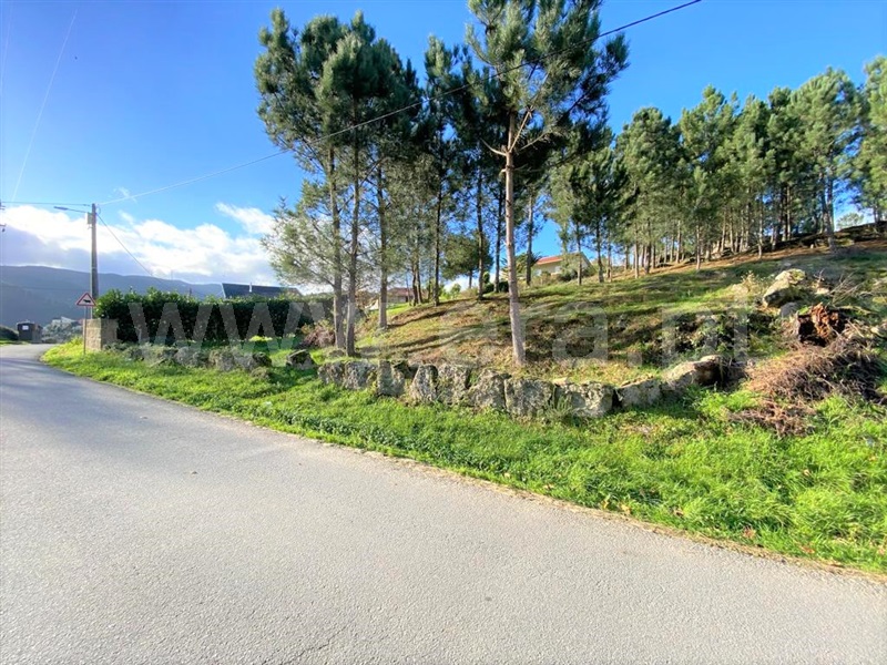 Terreno para Construção  Cinfães, São Cristóvão de Nogueira - 1294342 - 7