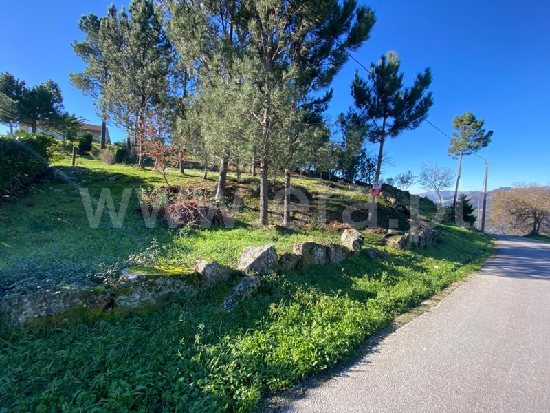 Terreno para Construção  Cinfães, São Cristóvão de Nogueira - 1294342 - 8