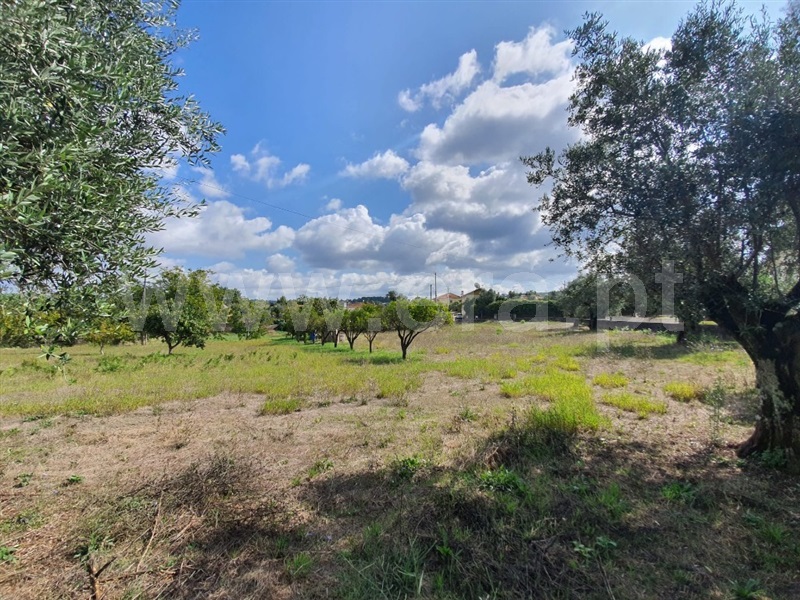 Terreno para Construção / Coimbra, Cernache