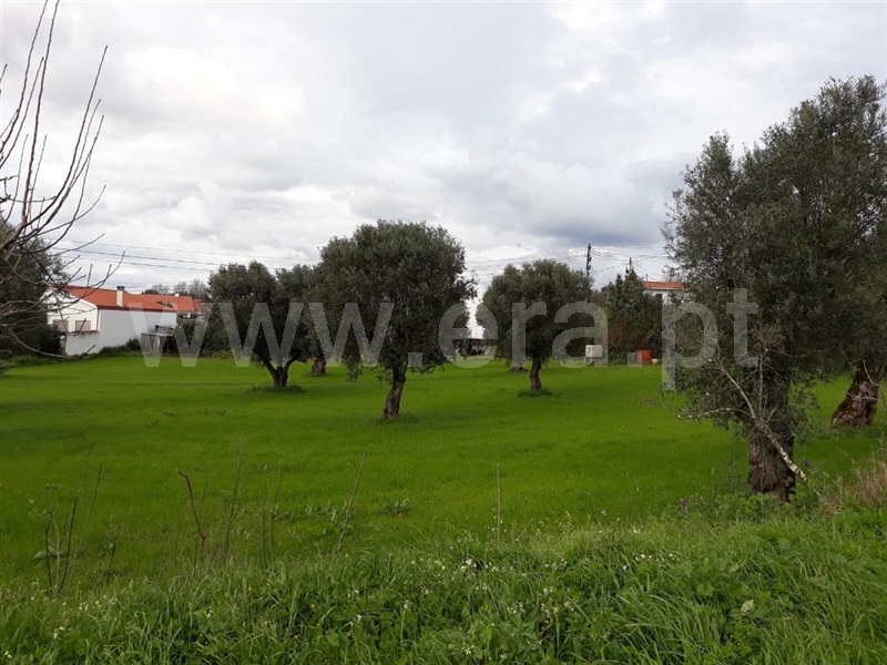 Terreno para Construção  Coimbra, São João do Campo - 1153703 - 2