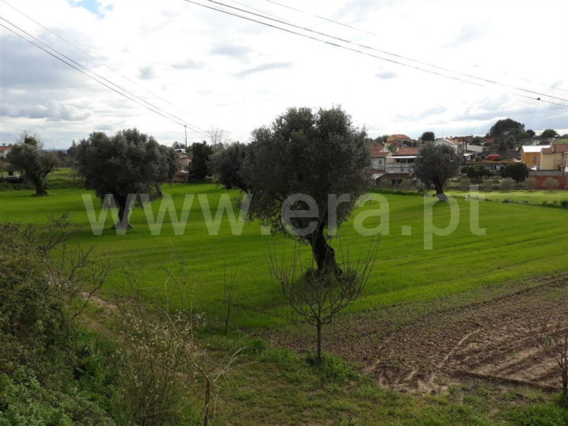 Terreno para Construção  Coimbra, São João do Campo - 1153703 - 3