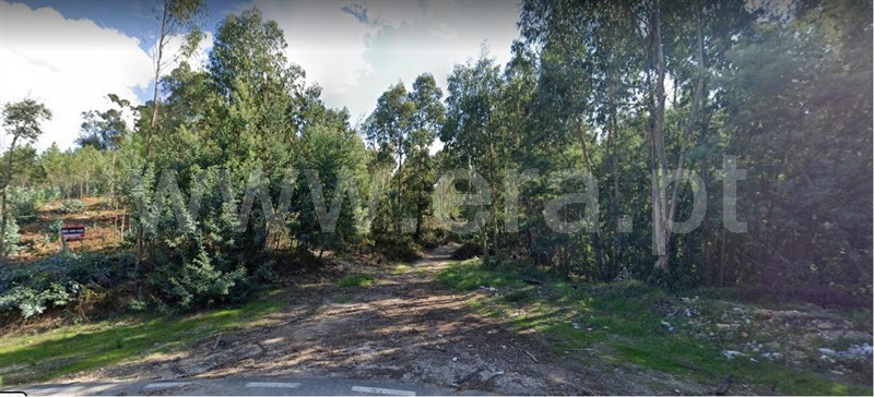 Terreno para Construção / Coimbra, São Martinho de Árvore