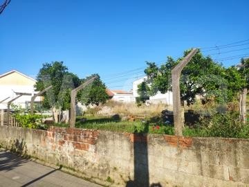 Terreno para Construção / Coimbra, São Martinho do Bispo - Centro