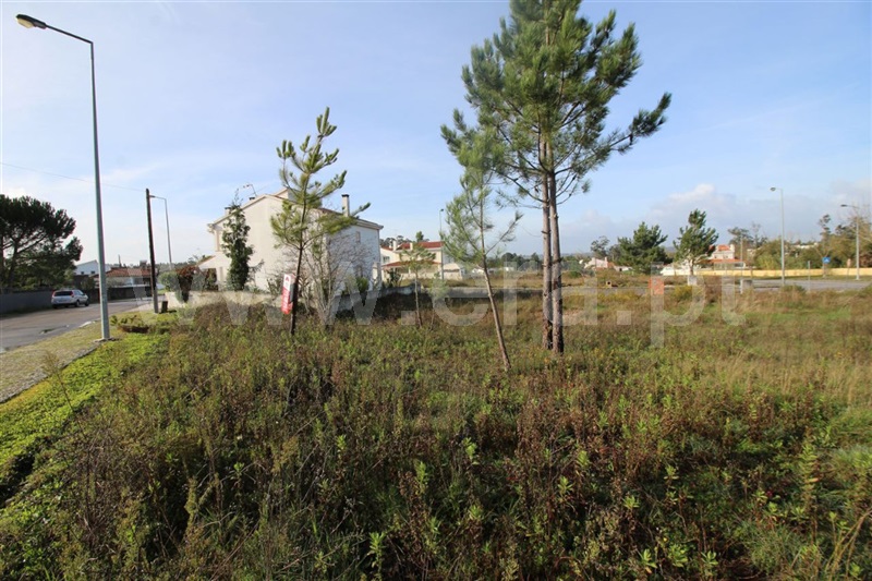 Terreno para Construção  Condeixa-a-Nova, Condeixa - 1206134 - 3