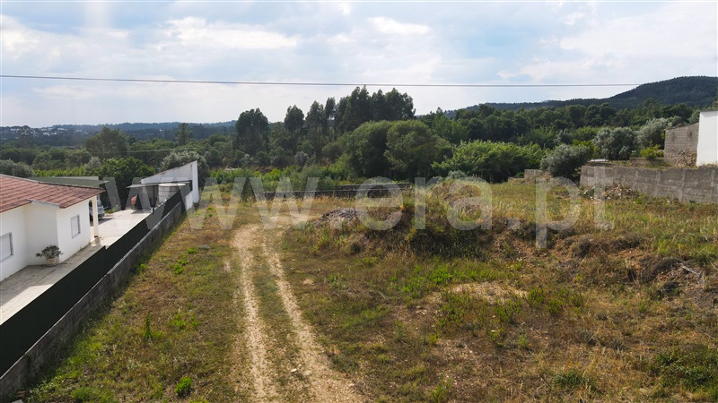Terreno para Construção  Constância, Montalvo - 1335083 - 3