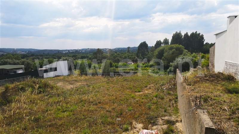 Terreno para Construção  Constância, Montalvo - 1335083 - 7