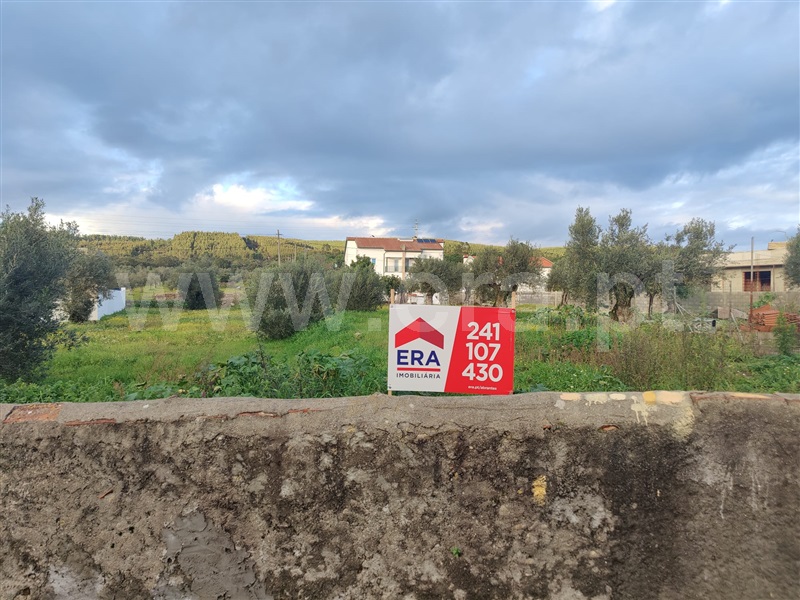 Terreno para Construção / Constância, Montalvo
