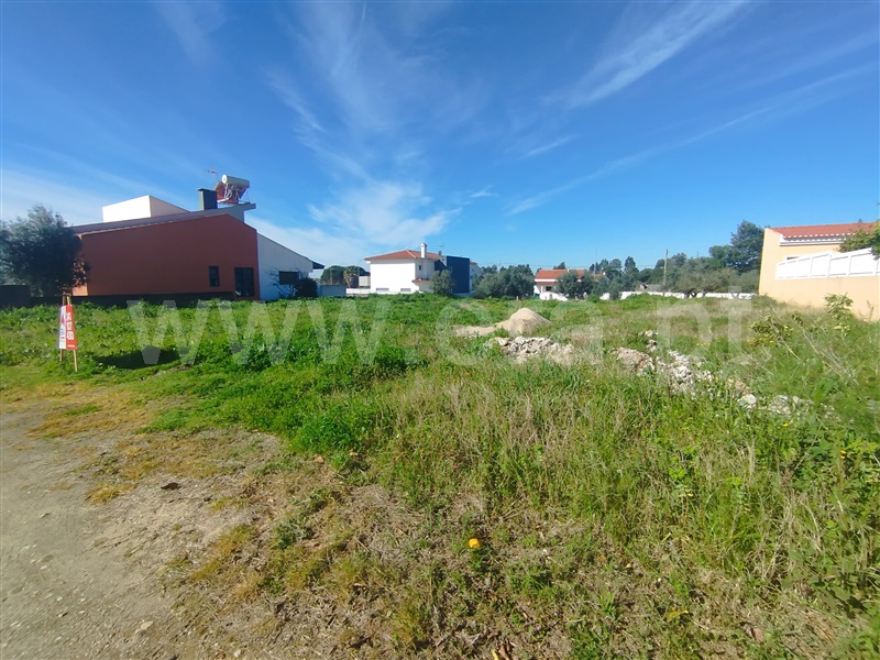 Terreno para Construção  Constância, Montalvo - 1464158 - 4