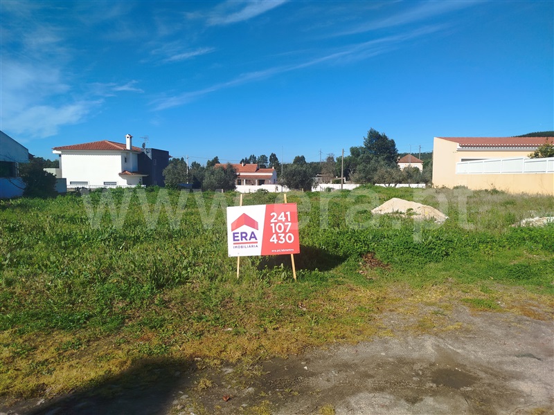 Terreno para Construção / Constância, Montalvo