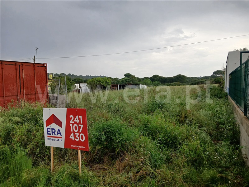 Terreno para Construção / Coruche, Couço