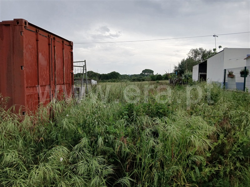Terreno para Construção  Coruche, Couço - 1475180 - 3