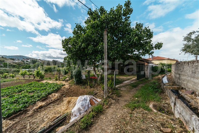 Terreno para Construção  Covilhã, Erada - 1391148 - 8