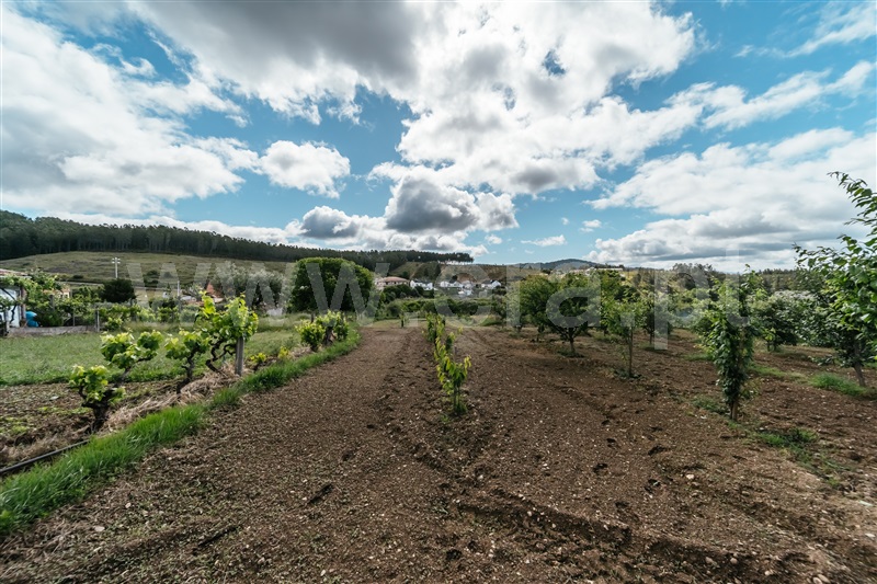 Terreno para Construção  Covilhã, Erada - 1391148 - 12