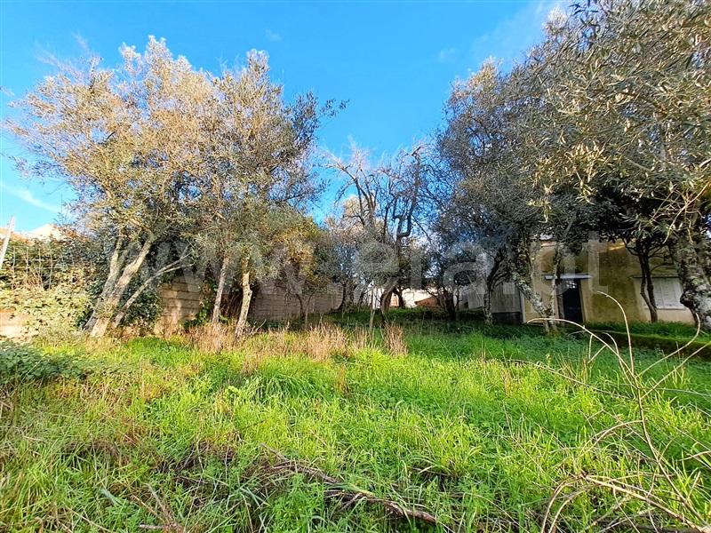 Terreno  Covilhã, Peso e Vales do Rio - 1450333 - 3