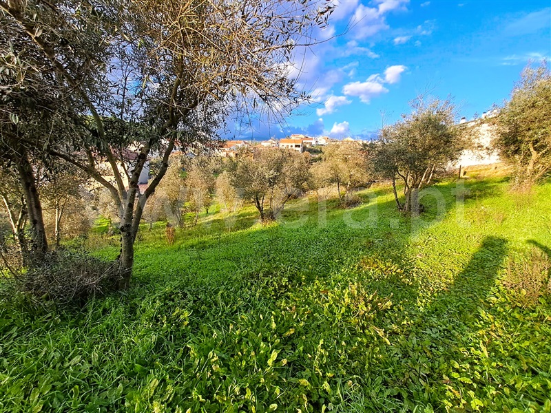 Terreno  Covilhã, Peso e Vales do Rio - 1450333 - 8