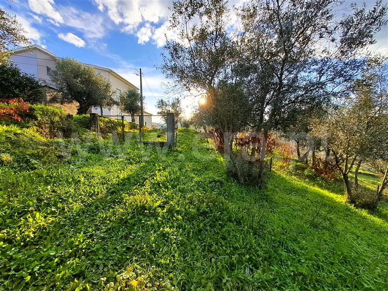 Terreno  Covilhã, Peso e Vales do Rio - 1450333 - 12
