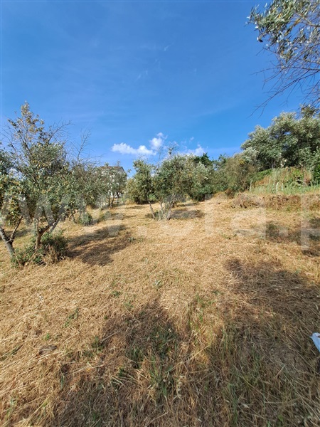 Terreno para Construção  Covilhã, Peso e Vales do Rio - 1450333 - 15
