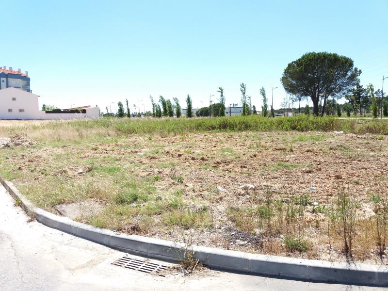 Terreno para Construção  Entroncamento, Entroncamento - Casal do Grilo - 826716 - 3