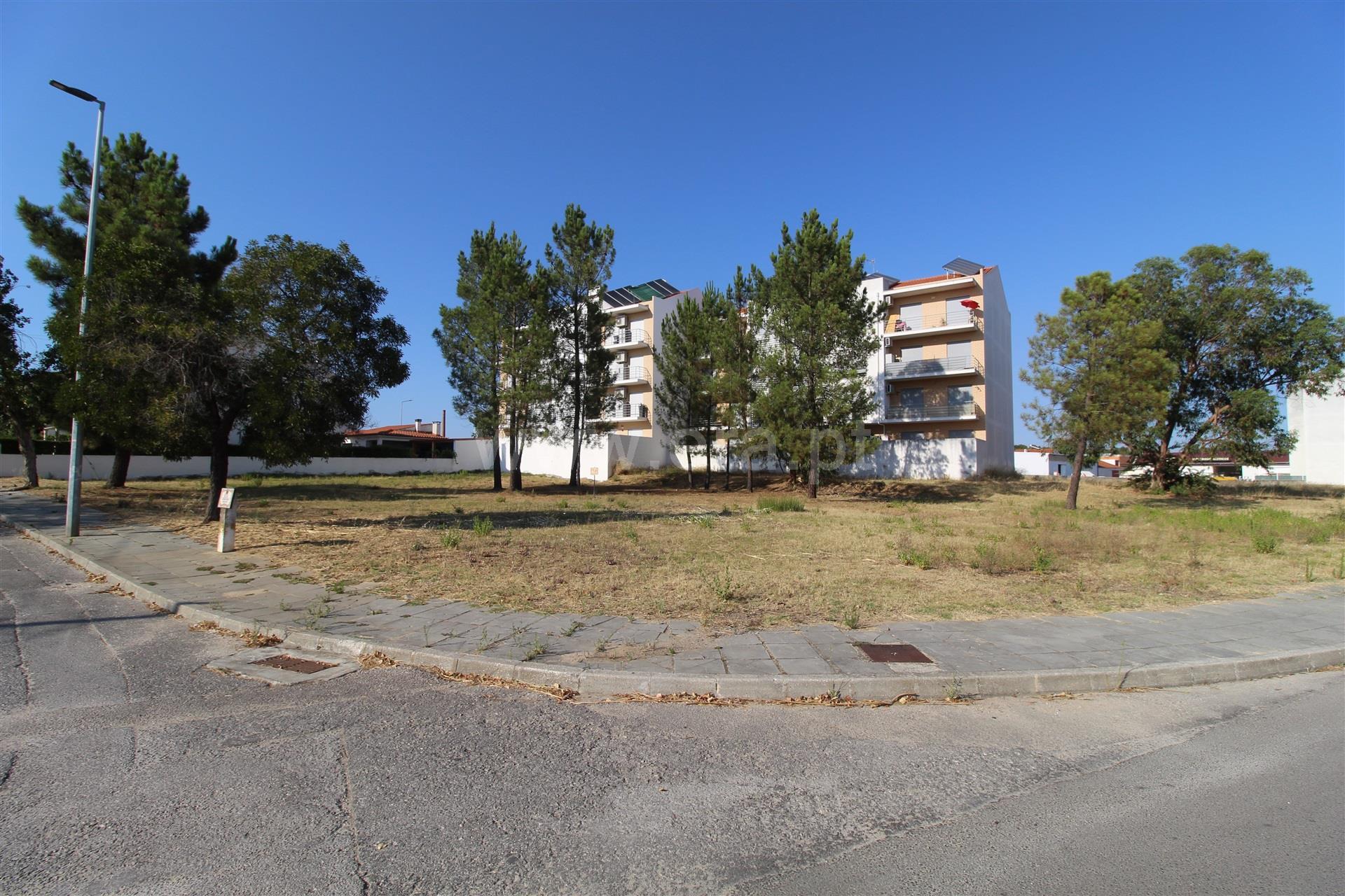 Land for sale in Entroncamento, Portugal — €63,000