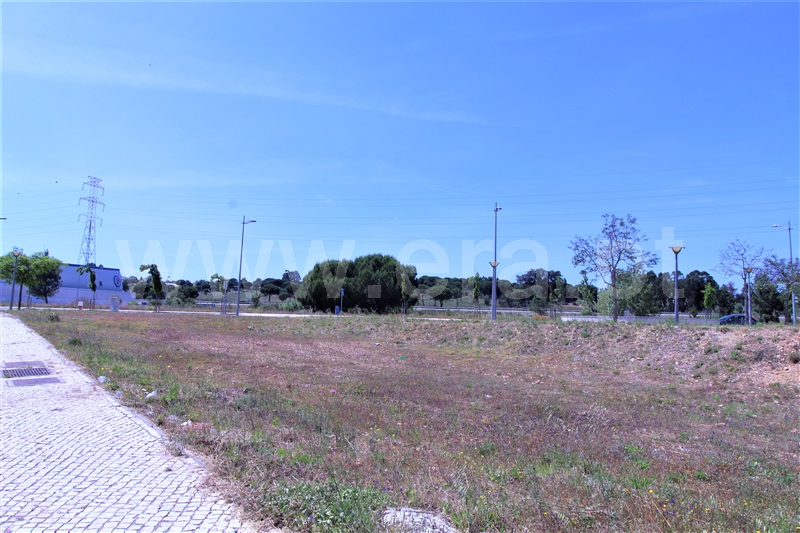 Terreno para Construção / Entroncamento, Nossa Senhora de Fátima