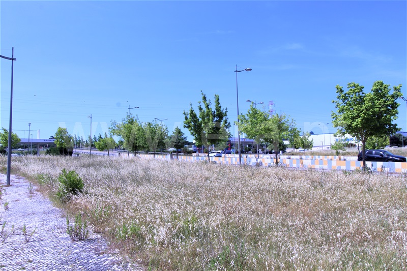 Terreno para Construção / Entroncamento, Nossa Senhora de Fátima