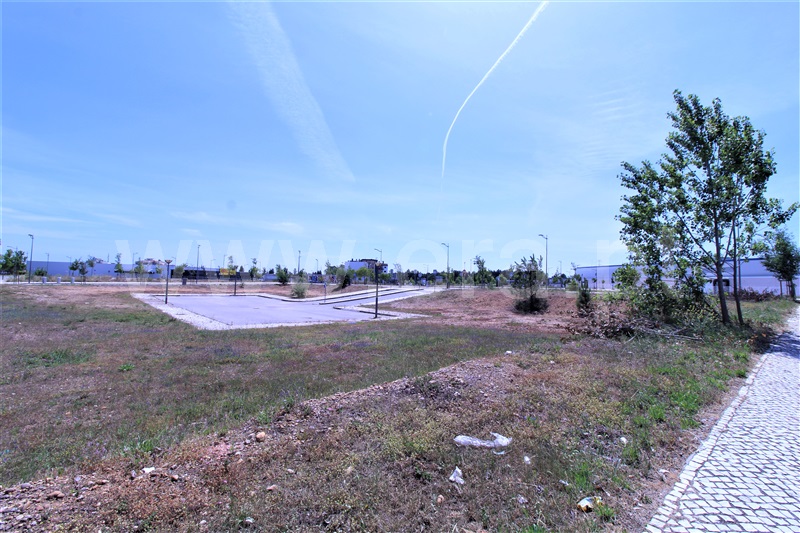 Terreno para Construção  Entroncamento, Nossa Senhora de Fátima - 1176011 - 3