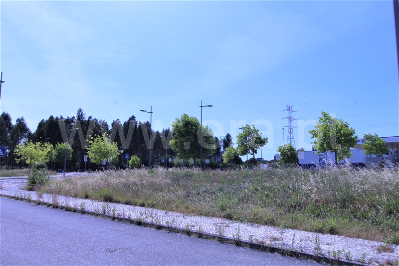 Terreno para Construção / Entroncamento, Nossa Senhora de Fátima