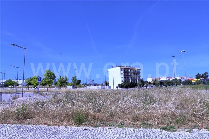 Terreno para Construção  Entroncamento, Nossa Senhora de Fátima - 1176022 - 10