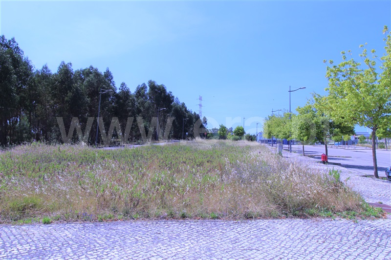 Terreno para Construção  Entroncamento, Nossa Senhora de Fátima - 1176022 - 7