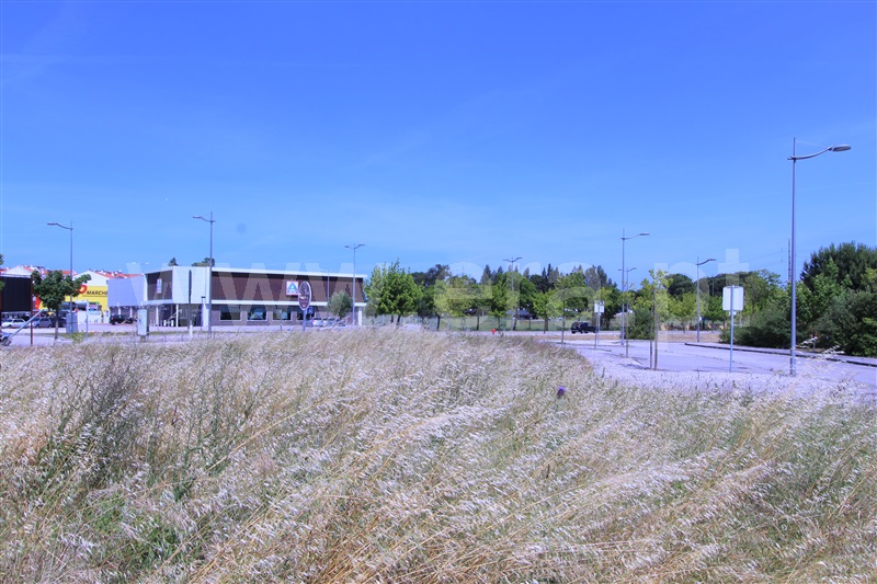 Terreno para Construção / Entroncamento, Nossa Senhora de Fátima