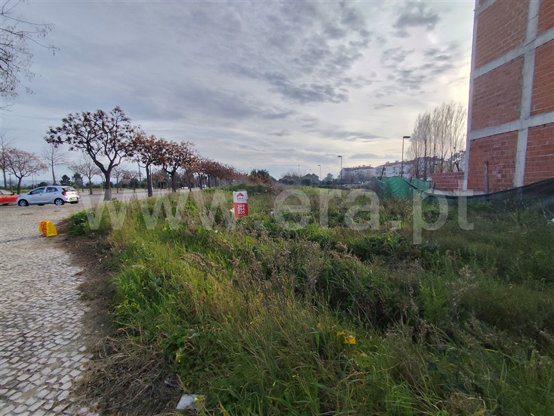 Terreno para Construção / Entroncamento, São João Baptista