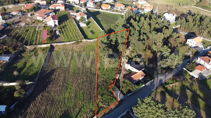 Terreno para Construção / Esposende, Antas