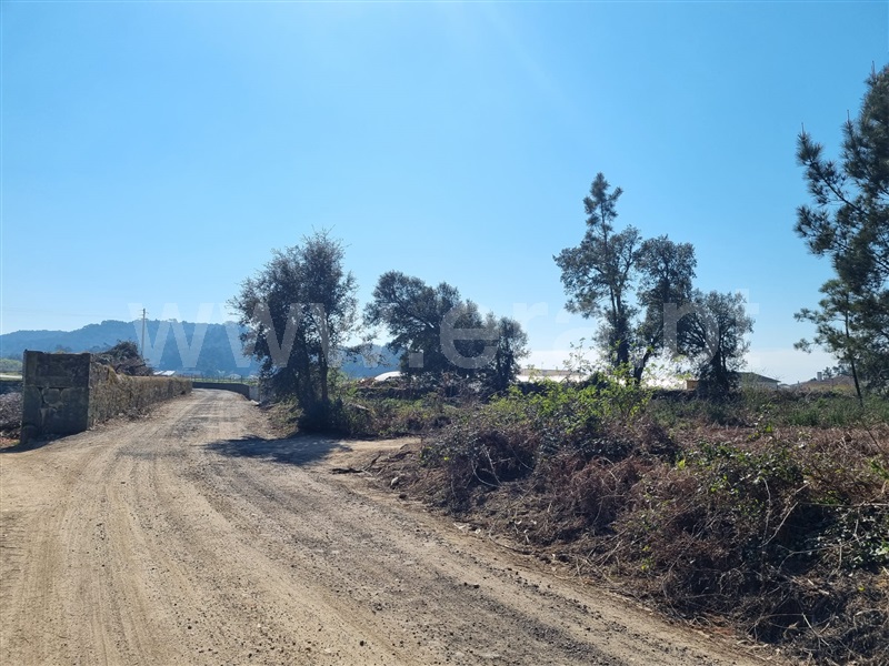 Terreno para Construção / Esposende, Antas