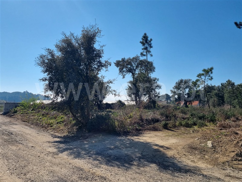 Terreno para Construção  Esposende, Antas - 1312148 - 2