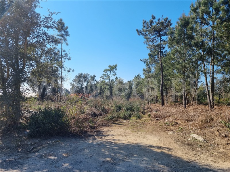 Terreno para Construção  Esposende, Antas - 1312148 - 3